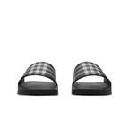 Slides Monochromatic
